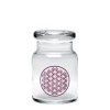 420 Science Pop Top Jar Small